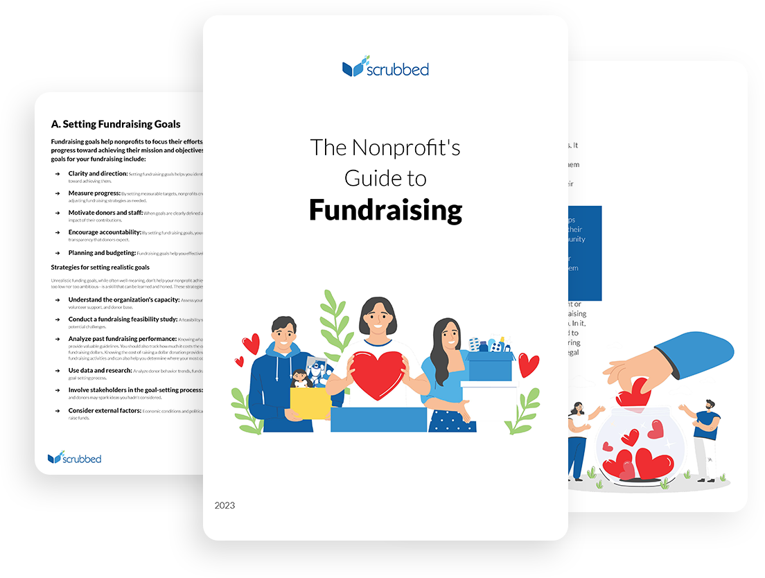 Non-Profit Guide Scrubbed