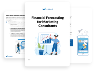 Financial Forecasting for Marketing Consultants - Scrubbed