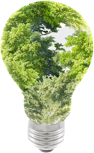 Tree light bulb