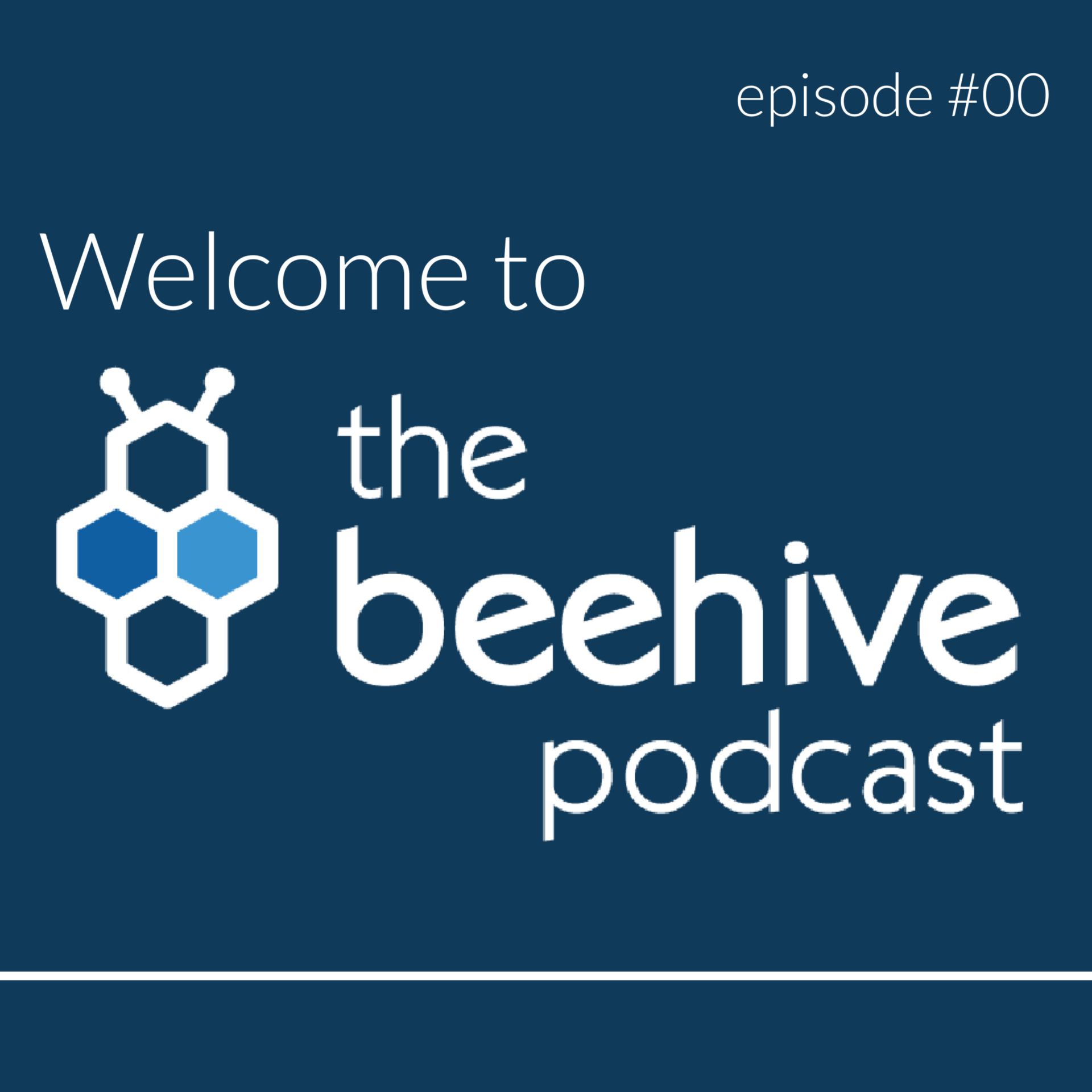 Beehive: Ep 0 - Introduction