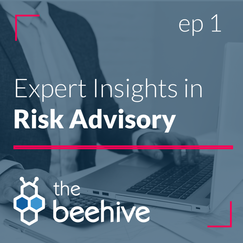 Expert Insights in Risk Advisory - Scrubbed