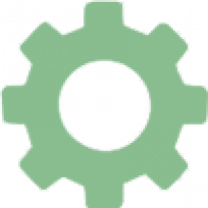 Professional Services